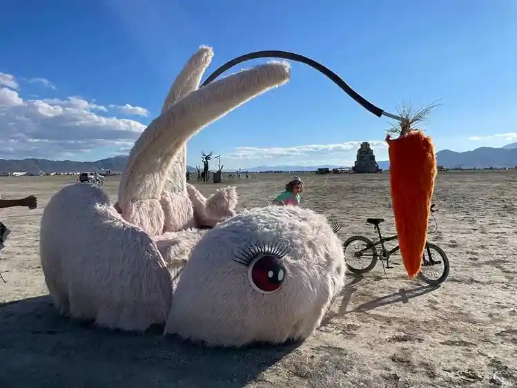 Burning Man в Америке