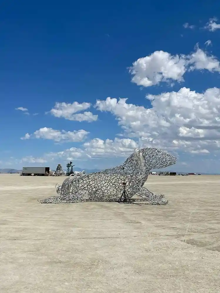 инсталляции на Burning Man
